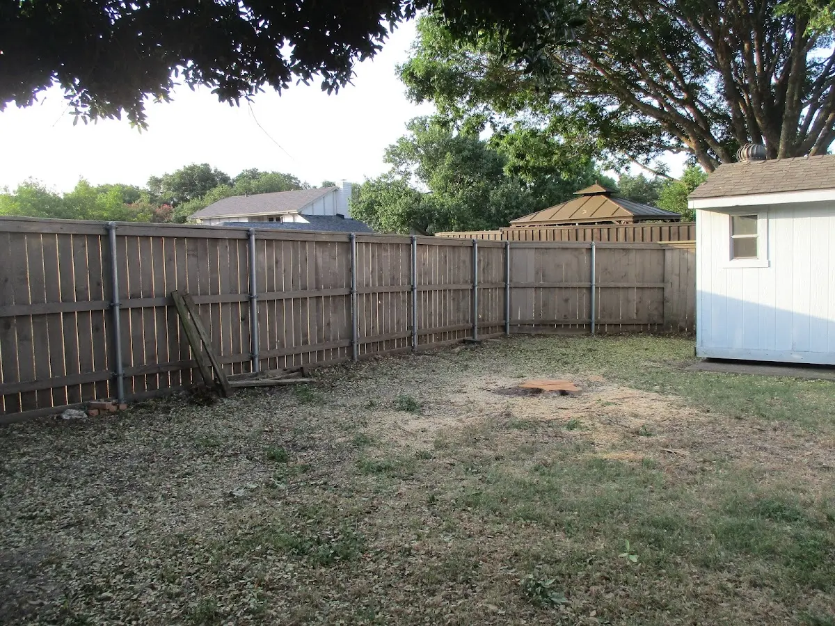 Cleared yard after professional tree removal in Mills River